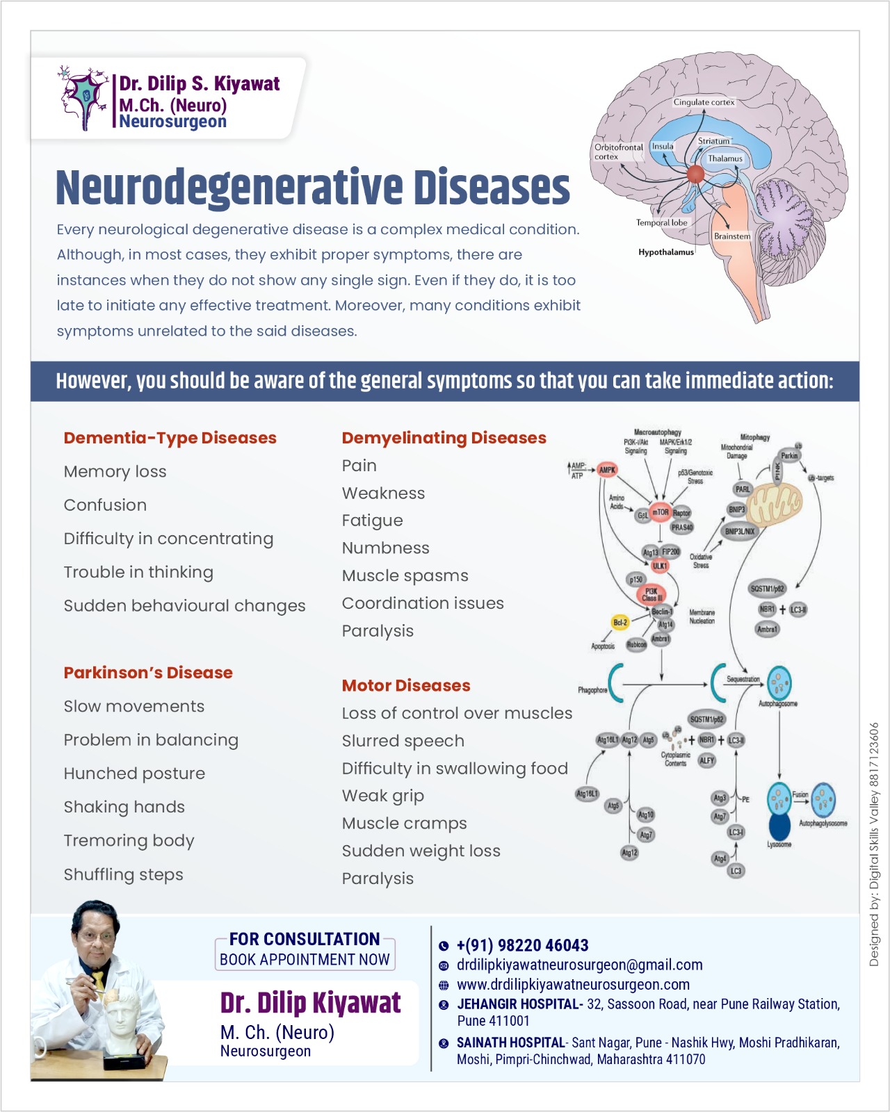 Neurodegenerative Diseases Guide